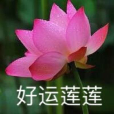 2021中国长三角·海盐南北湖文化旅游节开幕